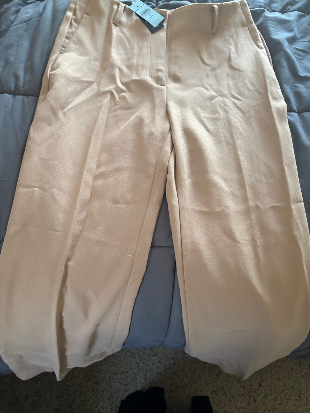 Ann Taylor Wide-Leg Pants in Soft Beige